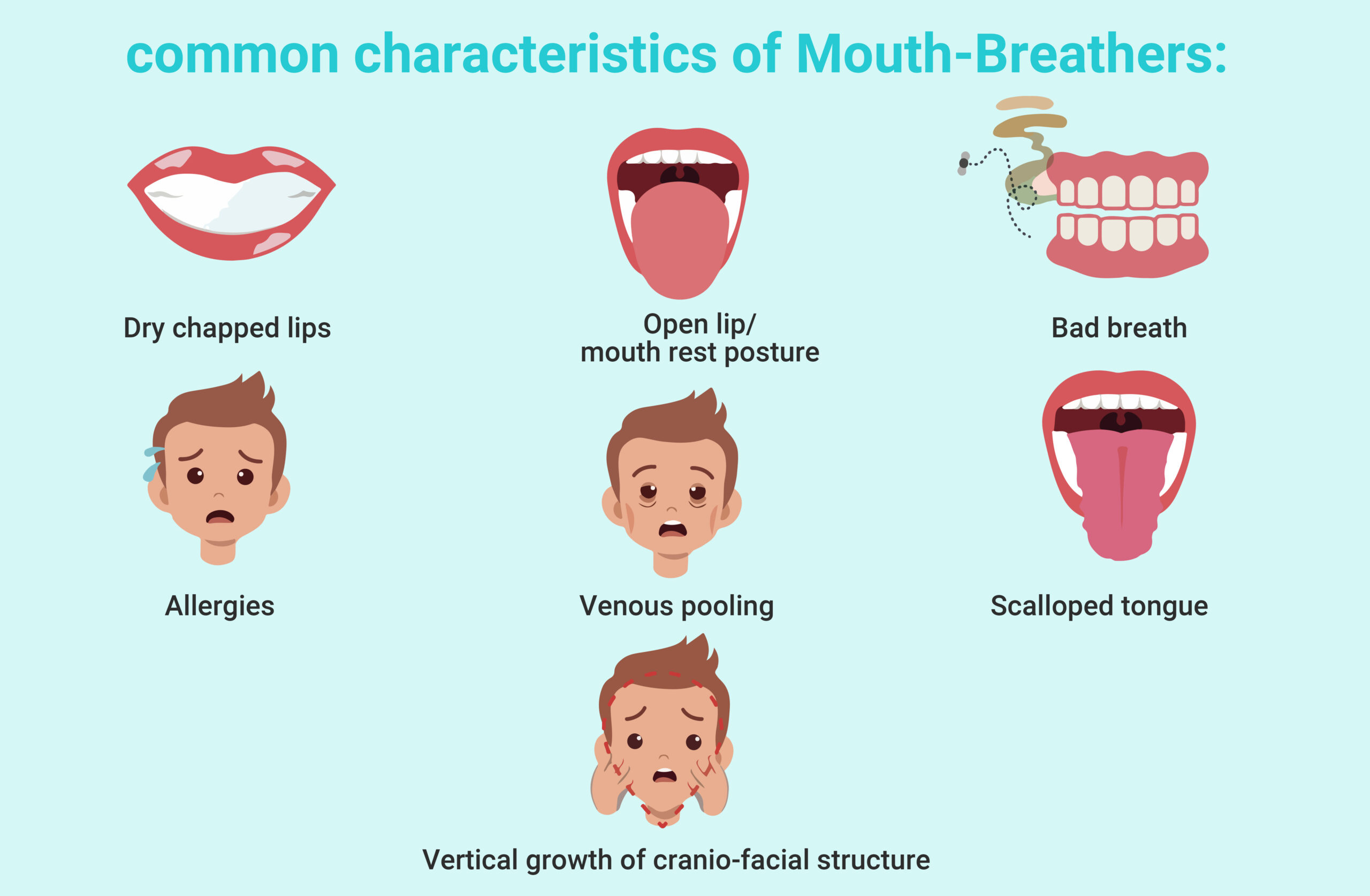 common characteristics of Mouth-Breathers