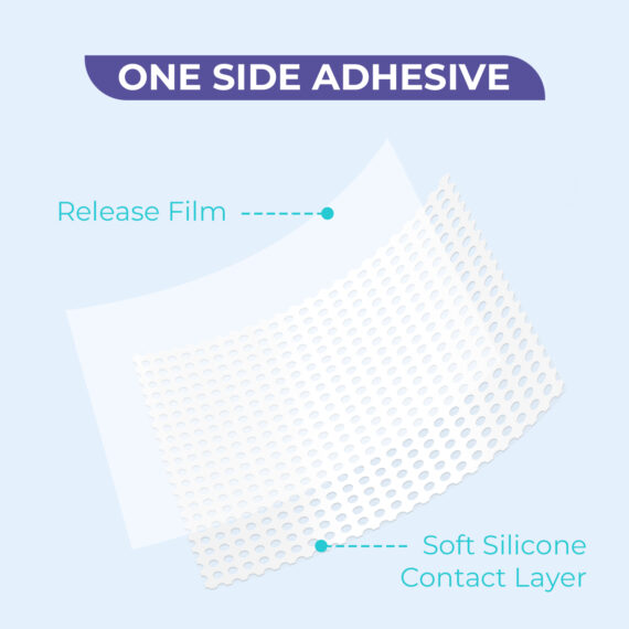 画板 1 拷贝 3 (2)